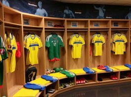 EURO 2020: Švedska dočekuje Norvešku EURO 2020 kvalifikacije